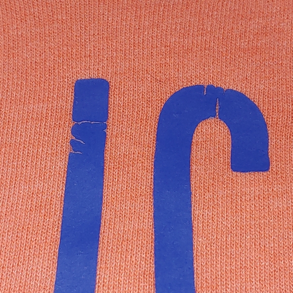 Hollister Sweatshirt Hoodie, Orange with Blue Letters, Size Large - Picture 7 of 10